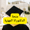 منحة الدكتوراة المهنية